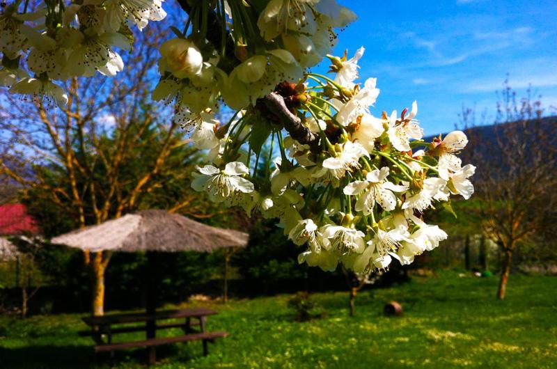 Arte Y Natura Valdivielso Quintana de Valdivielso Esterno foto