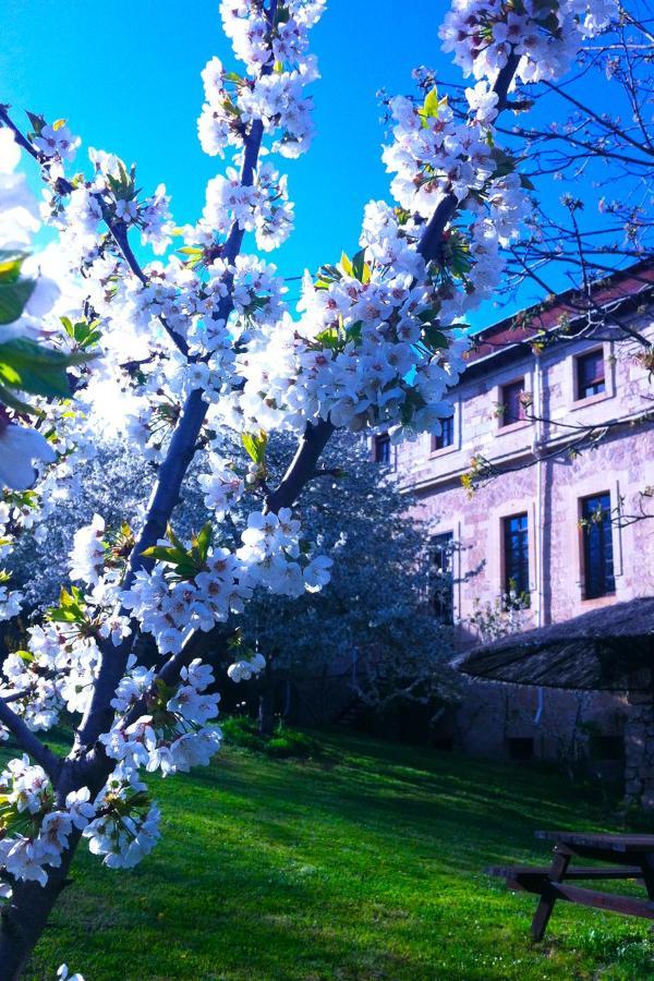 Arte Y Natura Valdivielso Quintana de Valdivielso Esterno foto